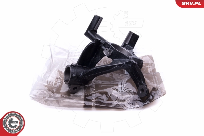 Steering Knuckle, wheel suspension